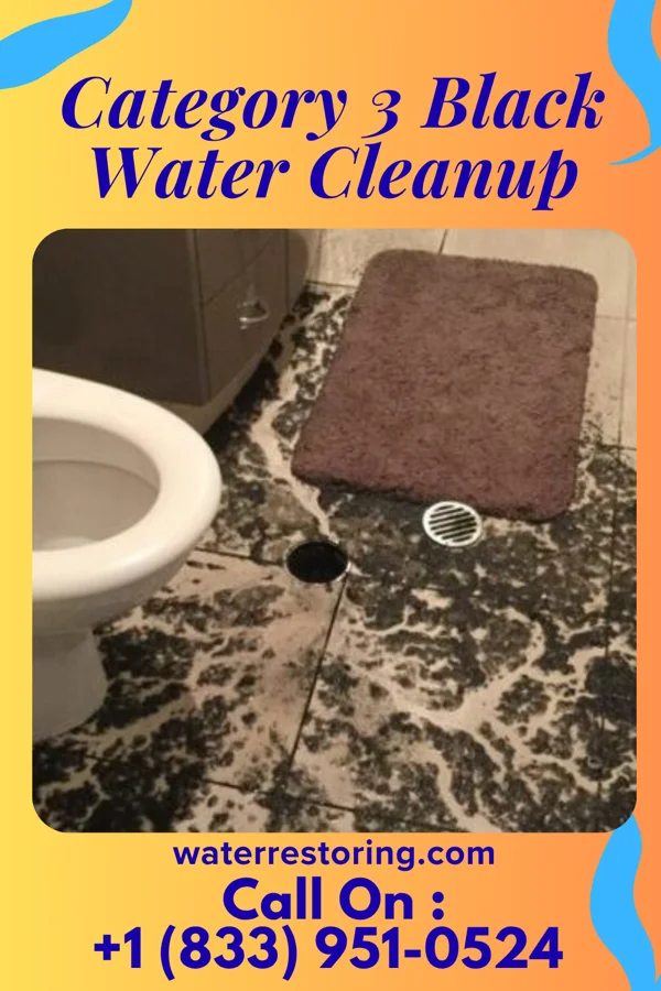 Category 3 Black Water Cleanup in Woodson, TX